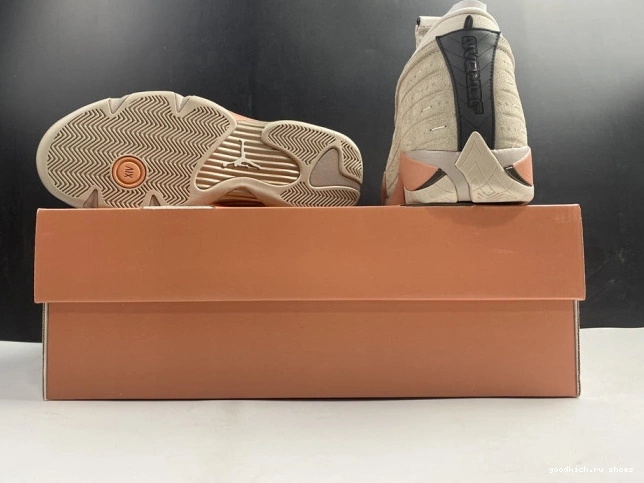 Terra Blush 14 DC9857-200 AIR Retro Jordan Clot Low 0714